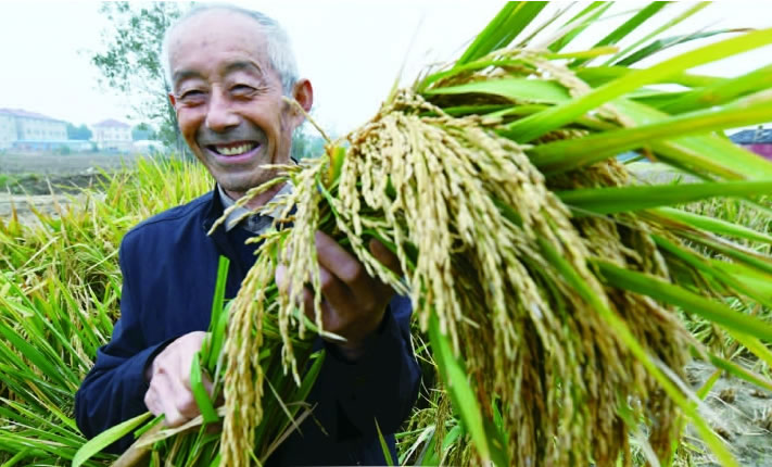 46�꣬�ػ�һ����|��עׯ�칱���ƾ�֮·