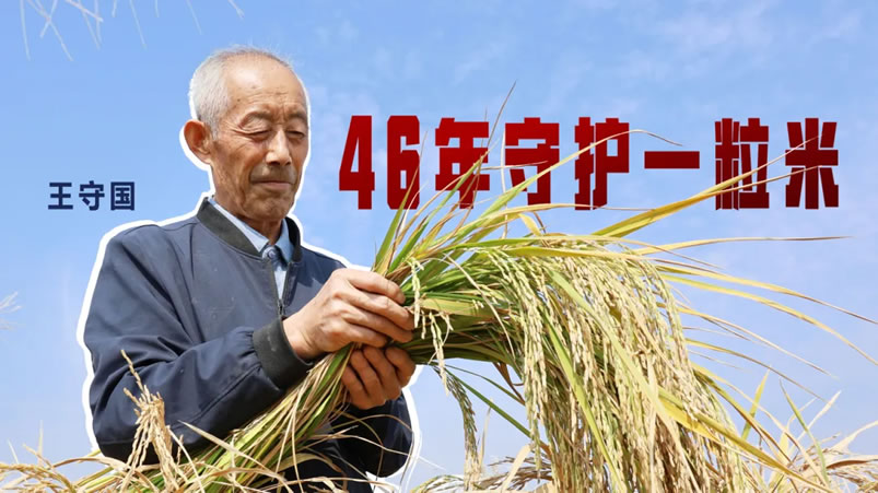 46���ػ�һ���ף�ׯ�칱�ף�һ�ȱ������