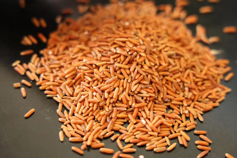 ����ׯׯ��ԭ����|ԭ֭ԭζ